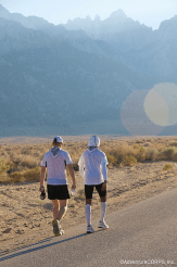 A walk in the sunset